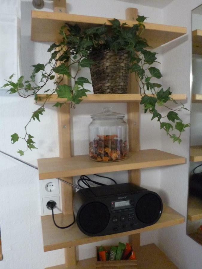 Ferienwohnung Jansen "Eins" バート・シュヴァルバッハ エクステリア 写真